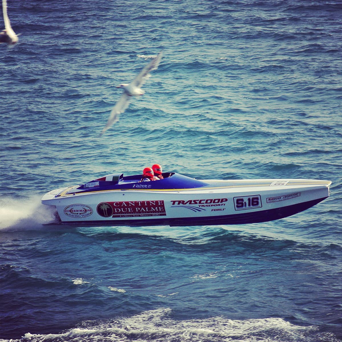 Power 27 Racing under way with a gull in flight